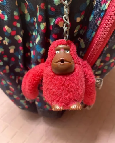 Mochila para estudo e viagem kipling original