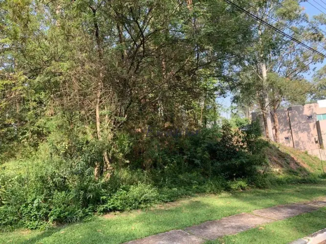 Terreno à venda, 250 m² por R$ 1.600.000,00 - Jardim Leonor Mendes de Barros - São Paulo/S