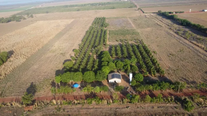 Chácara 7.7423hectare - Com 367 coqueiros - Placas solar 