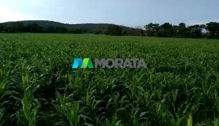 FAZENDA À VENDA - 4.222 HECTARES - MANGA (MG)