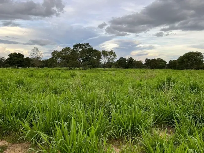 Fazenda de 575 Alqueires em Uirapuru-GO