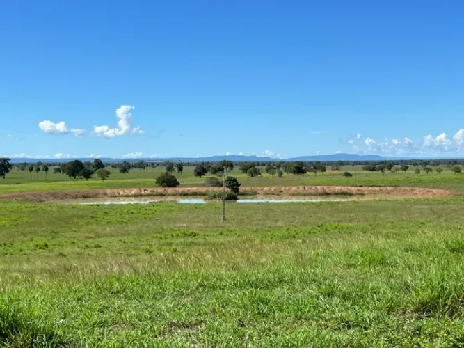 Fazenda com 1.433 Hectares - IACIARA - GO -R$. 42 Milhões