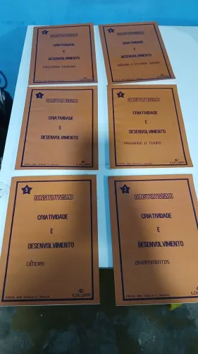 Coleção Livros Construtivismo