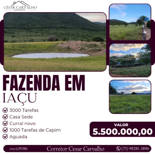 FAZENDA EM IAÇU - 3000 TAREFAS
