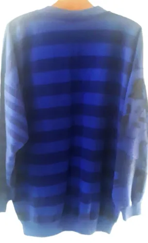 Agasalho Walt Disney Azul