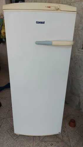 Freezer Vertical Consul