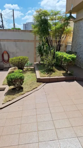 Serviços de jardinagem 