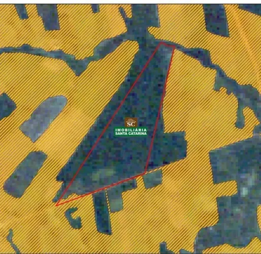 Fazenda à venda em São José do Rio Claro, GLEBA MASSAPÉ, com 0 suíte, com 100 hectares