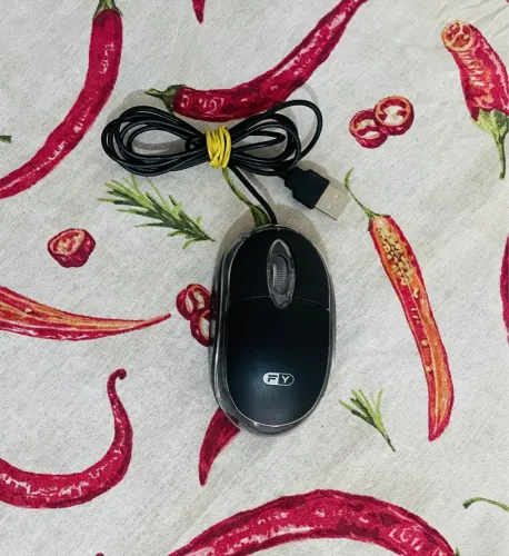 MOUSE