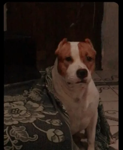 A procura de uma namorada 