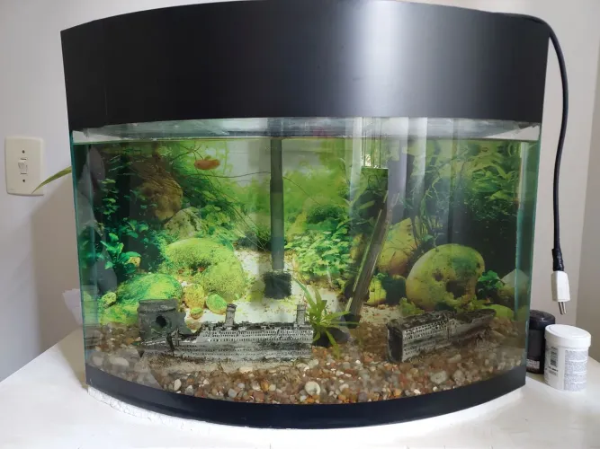 Aquário de 60 litros completo