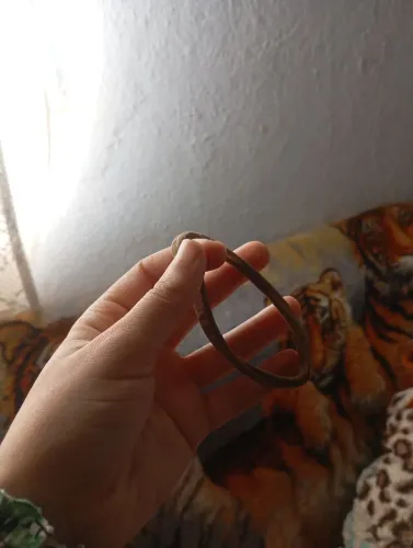 Vendo rabicó bege