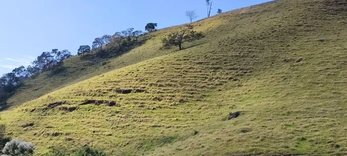 Oportunidade de terreno 4 alqueires no bairro Pinhalzinho em Paraisópolis MG