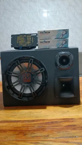 Uma caixa de som automotivo, um módulo de potência e dois microfone com fio.