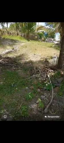 Terreno 