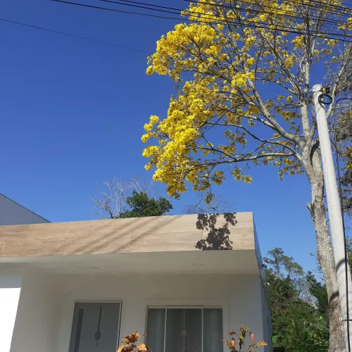 Casa a venda 2 quartos, sala conceito aberto. Jardim frontal e  ampla área livre fundos