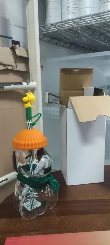 Snoopy Starbucks Original + Caixa | Colecionável