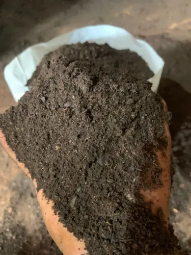 SUBSTRATO ORGÂNICO PARA SUAS PLANTAS