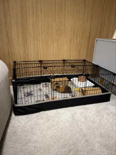 Cercado Porquinho da Índia Hamster Coelho 60x90