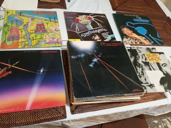 Lote 27 LP vinil original clássico do rock raros.