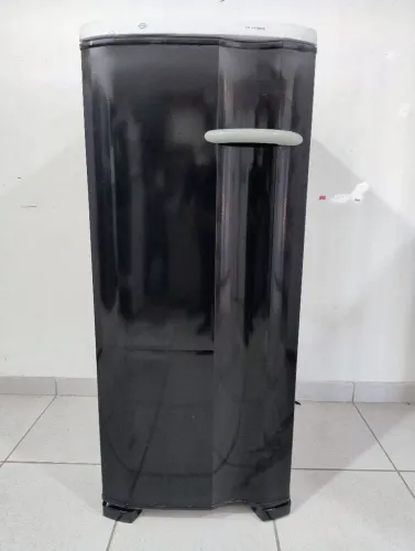 Elétrico doméstico