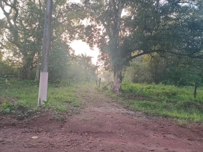 Vende-se sítio