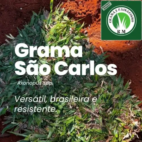 Grama Batatais + São Carlos + Bermuda Melhor Oferta 