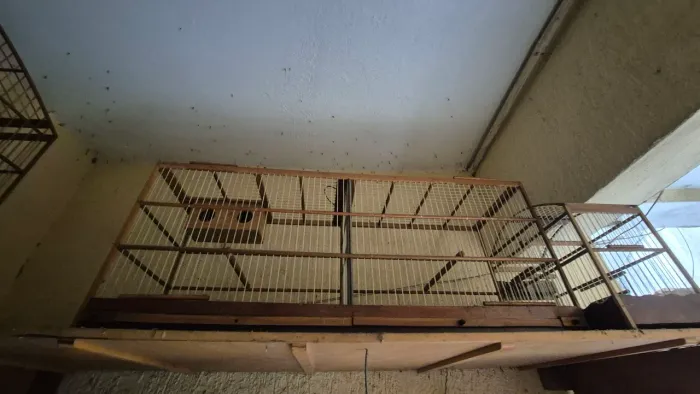 Gaiola para canário