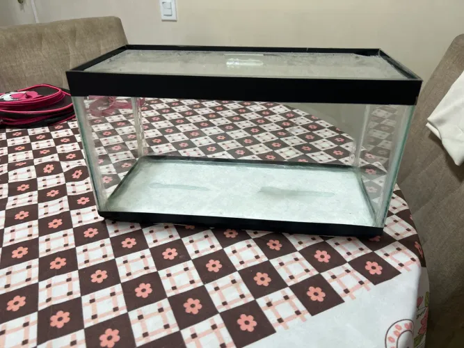 Vendo esse aquário 