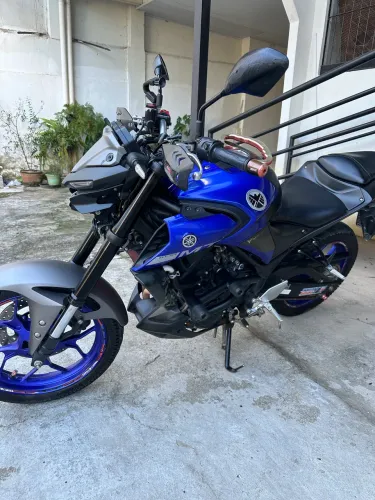 MT03/2021