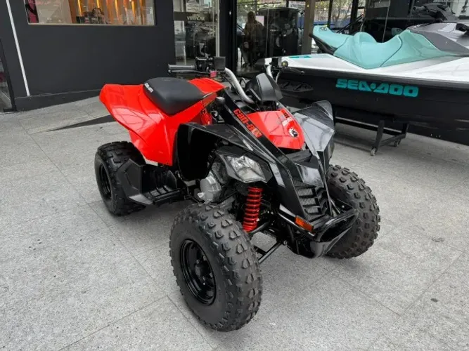 Can-Am Quadriciclo DS 250 EFI 4X2 - 2021