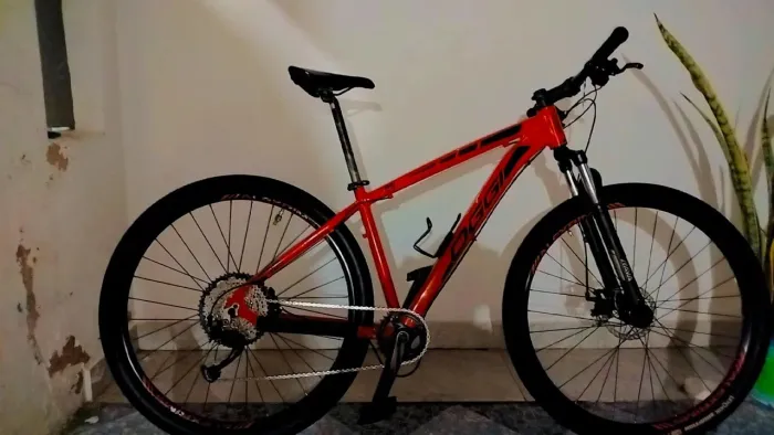 Vendo bike Oggi