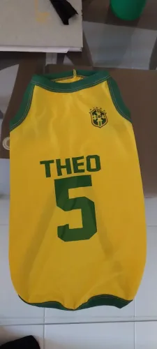 Roupa Brasil Pet