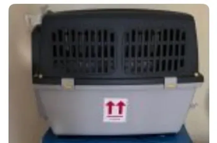 Caixa de transporte para cães Numero 5