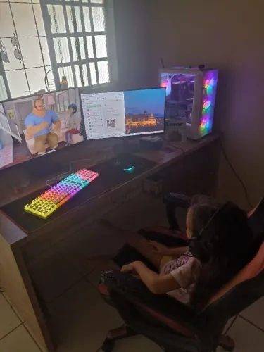 PC gamer
