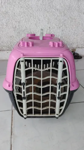 Caixa de transporte para animais
