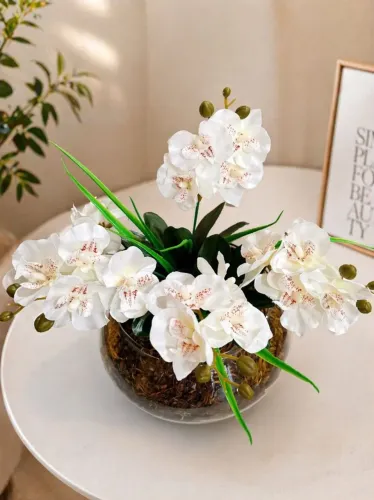 Lindos arranjos de orquídeas permanentes em vaso de vidro