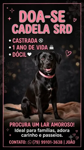 Doação