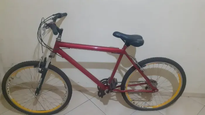 Bicicleta "estilo" mountain bike