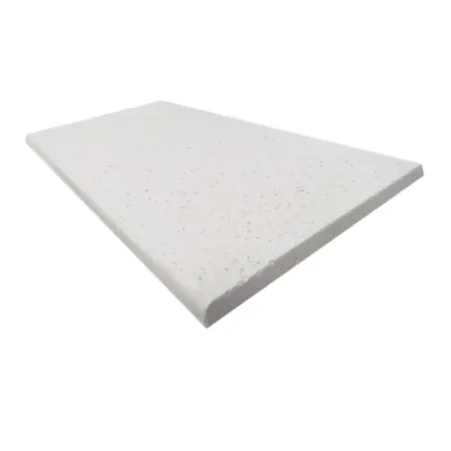 Borda Atérmica 50x25x1,5cm