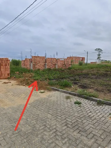 Lote Parque das Palmeiras
