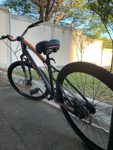 Bicicleta Caiçara