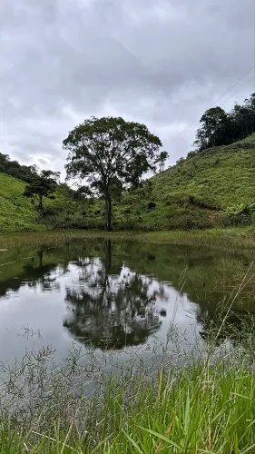 Vendo chácara em roda d?água com lagoa 
