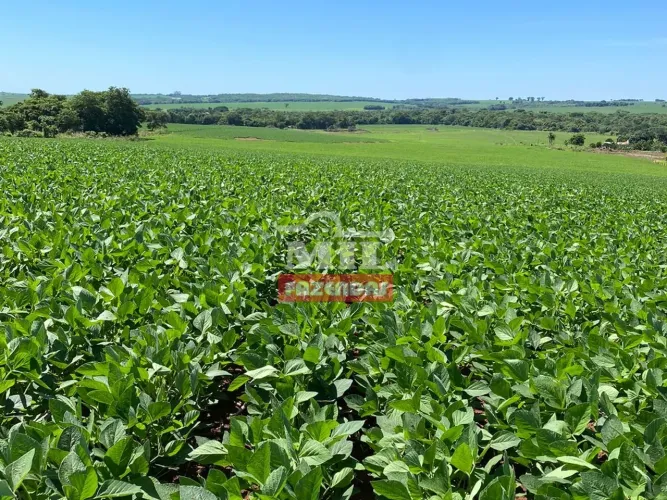 Fazenda sudoeste goiano com área de 18 alqueires (90 hectares)