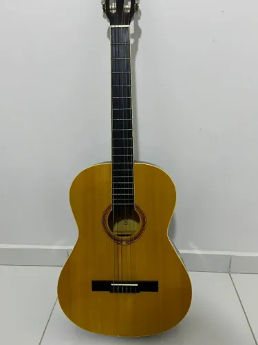Violão Michael VM19E NA Acústico Nylon Antares Natural Com Capa