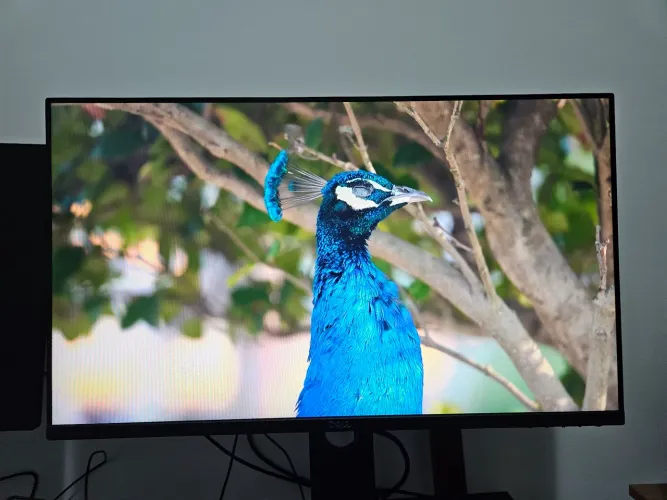 Monitor Dell 27 polegadas 2719H