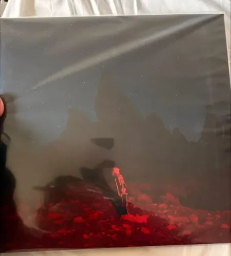 Vinil Punisher - Phoebe Bridgers