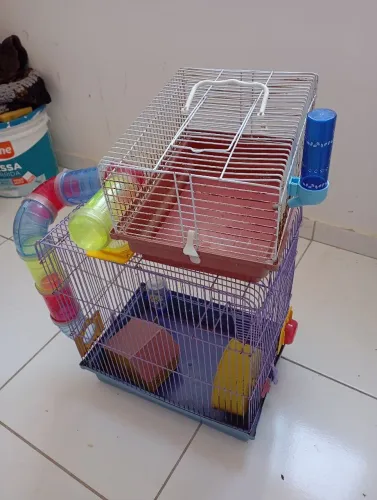 Hamster