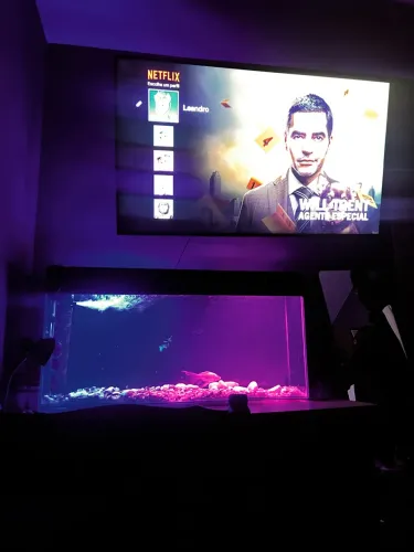 Aquário 220l