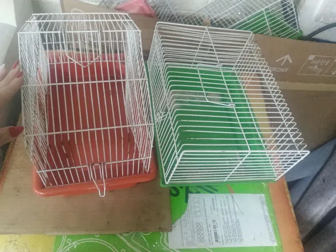 Gaiolas 